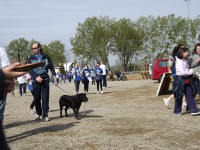 /album/galleria-fotografica/camm4-jpg/