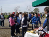 /album/galleria-fotografica/camm7-jpg/