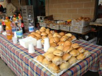 /album/galleria-fotografica/foto5-jpg/