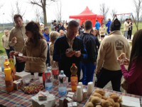 /album/galleria-fotografica/foto19-jpg/